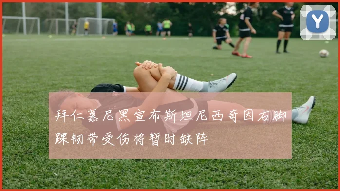 拜仁慕尼黑宣布斯坦尼西奇因右脚踝韧带受伤将暂时缺阵